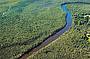 Aerial of the Everglades