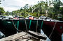 Canoes on the Everglades