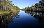 Everglades Cruise 'n' Canoe with lunch